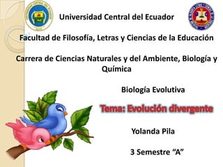 Universidad Central del Ecuador
Facultad de Filosofía, Letras y Ciencias de la Educación
Carrera de Ciencias Naturales y del Ambiente, Biología y
Química
Biología Evolutiva
Yolanda Pila
3 Semestre “A”
 