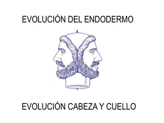 EVOLUCIÓN DEL ENDODERMO
EVOLUCIÓN CABEZA Y CUELLO
 