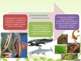 PERIODO SILÚRICO
                                                                escorpiones, millipedos y
 la diversidad se incrementa    (438-408 Millones De Años)
                                                                     pequeñas plantas
nuevamente. Los Agnatos se
                                                              ramificadas, como Cooksonia
  diversificaron durante este
                                                              sp. Que se parecía en algunas
 periodo, y surgieron nuevas
                                  los placodermos, de los         formas a las modernas
    clases de vertebrados,
                                   cuales estaba algunos           psilopsidas y musgos.
                                   tiburones. la primera
                                evidencia de Vida Terrestre
                                   apareció en el silúrico:
 