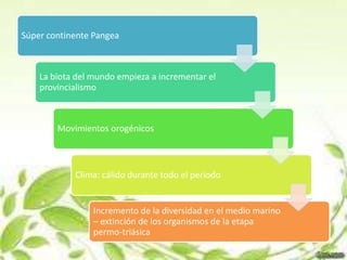 Súper continente Pangea



    La biota del mundo empieza a incrementar el
    provincialismo



        Movimientos orogénicos



            Clima: cálido durante todo el periodo


                 Incremento de la diversidad en el medio marino
                 – extinción de los organismos de la etapa
                 permo-triásica
 
