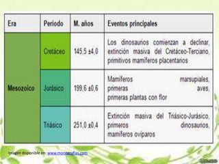 Imagen disponible en: www.monografias.com
 