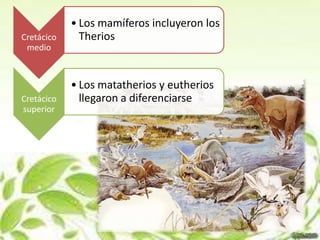 • Los mamíferos incluyeron los
Cretácico     Therios
 medio



            • Los matatherios y eutherios
Cretácico     llegaron a diferenciarse
superior
 