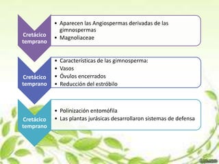 • Aparecen las Angiospermas derivadas de las
              gimnospermas
Cretácico   • Magnoliaceae
temprano


            •   Características de las gimnosperma:
            •   Vasos
Cretácico   •   Óvulos encerrados
temprano    •   Reducción del estróbilo



            • Polinización entomófila
Cretácico   • Las plantas jurásicas desarrollaron sistemas de defensa
temprano
 