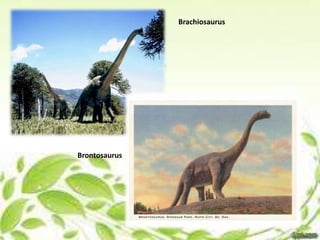Brachiosaurus




Brontosaurus
 