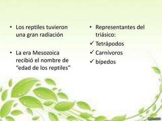 • Los reptiles tuvieron    • Representantes del
  una gran radiación         triásico:
                            Tetrápodos
• La era Mesozoica          Carnívoros
  recibió el nombre de      bípedos
  “edad de los reptiles”
 