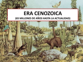 ERA CENOZOICA
(65 MILLONES DE AÑOS HASTA LA ACTUALIDAD)
 