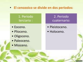 • El cenozoico se divide en dos periodos:

     1. Periodo             2. Periodo
     terciario :           cuaternario:
 • Eoceno.              • Pleistoceno.
 • Plioceno.            • Holoceno.
 • Oligoceno.
 • Paleoceno.
 • Mioceno.
 