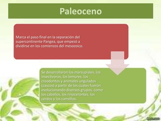 Paleoceno

Marca el paso final en la separación del
supercontinente Pangea, que empezó a
dividirse en los comienzos del mesozoico.




               Se desarrollaron los marsupiales, los
               insectívoros, los lemures, los
               creodontos y animales ungulados
               (cascos) a partir de los cuales fueron
               evolucionando diversos grupos, como
               los caballos, los rinocerontes, los
               cerdos y los camellos.
 