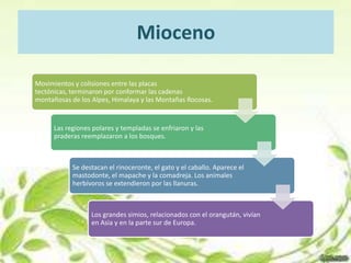 Mioceno

Movimientos y colisiones entre las placas
tectónicas, terminaron por conformar las cadenas
montañosas de los Alpes, Himalaya y las Montañas Rocosas.


      Las regiones polares y templadas se enfriaron y las
      praderas reemplazaron a los bosques.



            Se destacan el rinoceronte, el gato y el caballo. Aparece el
            mastodonte, el mapache y la comadreja. Los animales
            herbívoros se extendieron por las llanuras.



                  Los grandes simios, relacionados con el orangután, vivían
                  en Asia y en la parte sur de Europa.
 