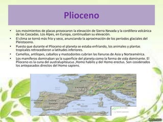 Plioceno
•   Los movimientos de placas provocaron la elevación de Sierra Nevada y la cordillera volcánica
    de las Cascadas. Los Alpes, en Europa, continuaban su elevación.
•   El clima se tornó más frío y seco, anunciando la aproximación de los períodos glaciales del
    Pleistoceno.
•   Puesto que durante el Plioceno el planeta se estaba enfriando, los animales y plantas
    tropicales retrocedieron a latitudes inferiores.
•   Camellos, antílopes, caballos y mastodontes cubrían las llanuras de Asia y Norteamérica.
•   Los mamíferos dominaban ya la superficie del planeta como la forma de vida dominante. El
    Plioceno es la cuna del australupiteucus ,Homo habilis y del Homo erectus. Son cosiderados
    los antepasados directos del Homo sapiens.
 