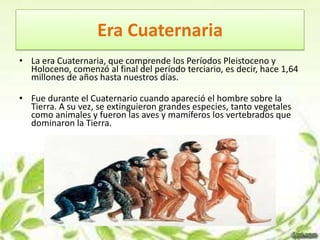 Era Cuaternaria
• La era Cuaternaria, que comprende los Períodos Pleistoceno y
  Holoceno, comenzó al final del período terciario, es decir, hace 1,64
  millones de años hasta nuestros días.

• Fue durante el Cuaternario cuando apareció el hombre sobre la
  Tierra. A su vez, se extinguieron grandes especies, tanto vegetales
  como animales y fueron las aves y mamíferos los vertebrados que
  dominaron la Tierra.
 