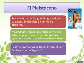 El Pleistoceno
Se caracteriza por las grandes glaciaciones.
La extensión del hielo en forma de
glaciares.

Mastodonte, el mamut, el tigre dientes de
sable, el perezoso terrestre, todos ellos
grandes mamíferos que dominaban la tierra

Restos encontrados de Homo Erecto, Homo
Sapiens y Homo Sapiens S.
 