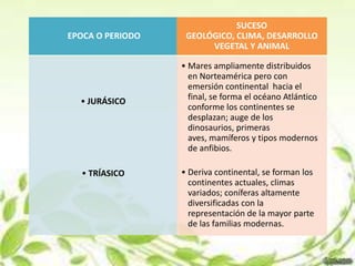 SUCESO
EPOCA O PERIODO    GEOLÓGICO, CLIMA, DESARROLLO
                        VEGETAL Y ANIMAL

                  • Mares ampliamente distribuidos
                    en Norteamérica pero con
                    emersión continental hacia el
  • JURÁSICO        final, se forma el océano Atlántico
                    conforme los continentes se
                    desplazan; auge de los
                    dinosaurios, primeras
                    aves, mamíferos y tipos modernos
                    de anfibios.

  • TRÍASICO      • Deriva continental, se forman los
                    continentes actuales, climas
                    variados; coníferas altamente
                    diversificadas con la
                    representación de la mayor parte
                    de las familias modernas.
 