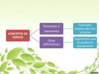 Sistematas o      Concepto
                             relacionado con
              taxonomos          la forma
CONCEPTO DE
  ESPECIE                    Organismos que
                 Otras
                              se producen
              definiciones
                              sexualmente
 