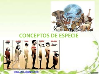 CONCEPTOS DE ESPECIE




juaco1975.blogspot.com
 
