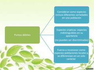 Considerar como especies
                 incluso diferentes variedades
                       en una población



                  Especies cripticas: especies
                     indistinguibles en su
Puntos débiles            apariencia
                 (no pueden ser discriminadas)


                   Fuerza a reconocer como
                 especies poblaciones locales q
                   se diferencian en un solo
                            carácter
 