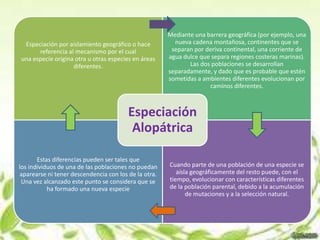 Mediante una barrera geográfica (por ejemplo, una
 Especiación por aislamiento geográfico o hace          nueva cadena montañosa, continentes que se
      referencia al mecanismo por el cual              separan por deriva continental, una corriente de
una especie origina otra u otras especies en áreas    agua dulce que separa regiones costeras marinas).
                   diferentes.                               Las dos poblaciones se desarrollan
                                                      separadamente, y dado que es probable que estén
                                                      sometidas a ambientes diferentes evolucionan por
                                                                    caminos diferentes.



                                        Especiación
                                         Alopátrica

       Estas diferencias pueden ser tales que
los individuos de una de las poblaciones no puedan    Cuando parte de una población de una especie se
aparearse ni tener descendencia con los de la otra.      aísla geográficamente del resto puede, con el
 Una vez alcanzado este punto se considera que se     tiempo, evolucionar con características diferentes
           ha formado una nueva especie               de la población parental, debido a la acumulación
                                                             de mutaciones y a la selección natural.
 