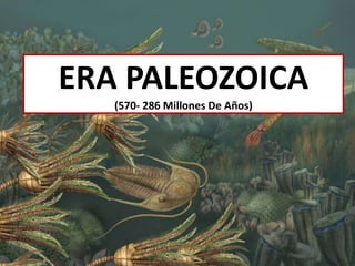 ERA PALEOZOICA
   (570- 286 Millones De Años)
 