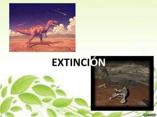 EXTINCIÓN
 