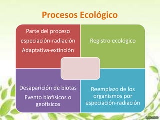 Procesos Ecológico
  Parte del proceso
especiación-radiación     Registro ecológico
Adaptativa-extinción




Desaparición de biotas     Reemplazo de los
  Evento biofísicos o       organismos por
      geofísicos         especiación-radiación
 