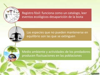 Registro fósil: funciona como un catalogo, leer
eventos ecológicos-desaparición de la biota



   Las especies que no pueden mantenerse en
   equilibrio son las que se extinguen



Medio ambiente y actividades de los predadores
producen fluctuaciones en las poblaciones
 