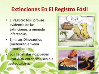 Extinciones En El Registro Fósil
• El registro fósil provee
  evidencia de las
  extinciones, a menudo
  inferencias.
• Ejm: Los Dinosaurios
  (meteorito-envena
  atmosfera)
• Los genetistas no pueden
  usar ADN entonces usan a.a
  osteocalcina.
 
