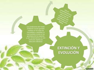 Las condiciones del medio
 ambiente causan grandes
   cambios en las tasas de
 mortalidad y natalidad, lo
 cual también incide en los
 genotipos de las especies
y, por consecuencia, en una
    evolución rápida por
     selección individual.



                              EXTINCIÓN Y
                              EVOLUCIÓN
 