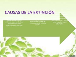 CAUSAS DE LA EXTINCIÓN
          En términos
  sencillos, cualquier especie
        que sea incapaz
                                  La extinción de una especie
                                 puede suceder de improviso
                                     (por ejemplo, cuando
                                                                    como puede pasar
                                                                   cuando la especie en
de sobrevivir o reproducirse e      la polución convierte a      cuestión paulatinamente
n su ambiente, y que tampoco           un hábitat entero           pierde la competición
   pueda trasladarse a otro      inhabitable), o puede ocurrir    por el alimento frente a
ambiente nuevo donde sí sea        gradualmente a través de        otras especies mejor
    capaz de realizar estas       incluso cientos de millones            adaptadas.
 cosas, muere y se extingue.                de años
 