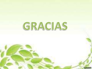 Evolución espacial de los ecosistemas 1 final