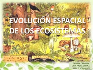 EVOLUCIÓN ESPACIAL
DE LOS ECOSISTEMAS


                DANIELA CADAVID
              GINA PAOLA OSPINA
              LIZETH D RODRIGUEZ
 