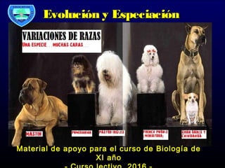 Evolución y EspeciaciónEvolución y Especiación
Material de apoyo para el curso de Biología deMaterial de apoyo para el curso de Biología de
XI añoXI año
 
