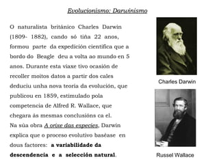 Evolucionismo: Darwinismo
O naturalista británico Charles Darwin
(1809- 1882), cando só tiña 22 anos,
formou parte da expedición científica que a
bordo do Beagle deu a volta ao mundo en 5
anos. Durante esta viaxe tivo ocasión de
recoller moitos datos a partir dos cales
deduciu unha nova teoría da evolución, que
publicou en 1859, estimulado pola
competencia de Alfred R. Wallace, que
chegara ás mesmas conclusións ca el.
Na súa obra A orixe das especies, Darwin
explica que o proceso evolutivo baséase en
dous factores: a variabilidade da
descendencia e a selección natural.
Charles Darwin
Russel Wallace
 