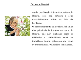 Aínda que Mendel foi contemporáneo de
Darwin, este non coñeceu o seus
descubrimentos sobre as leis da
herdanza.
O descoñecemento da xenética foi unha
das principais limitacións da teoría de
Darwin, que non explicaba como se
orixinaba a variabilidade entre os
individuos dunha poboación nin como
se transmitían as variacións vantaxosas.
Darwin e Mendel
 