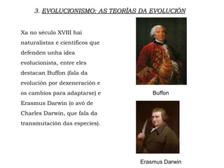 3. EVOLUCIONISMO: AS TEORÍAS DA EVOLUCIÓN
Xa no século XVIII hai
naturalistas e científicos que
defenden unha idea
evolucionista, entre eles
destacan Buffon (fala da
evolución por dexeneración e
os cambios para adaptarse) e
Erasmus Darwin (o avó de
Charles Darwin, que fala da
transmutación das especies).
Buffon
Erasmus Darwin
 