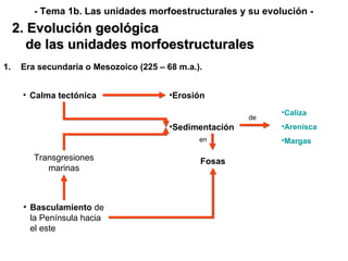 Era secundaria o Mesozoico (225 – 68 m.a.). Calma tectónica Erosión Sedimentación en Caliza Arenisca Margas Transgresiones marinas Fosas de 2. Evolución geológica de las unidades morfoestructurales - Tema 1b. Las unidades morfoestructurales y su evolución - Basculamiento  de la Península hacia el este 