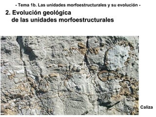 Caliza 2. Evolución geológica de las unidades morfoestructurales - Tema 1b. Las unidades morfoestructurales y su evolución - 