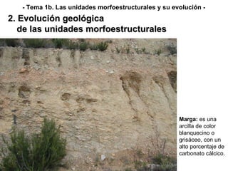Marga:  es una   arcilla de color blanquecino o grisáceo, con un alto porcentaje de carbonato cálcico. 2. Evolución geológica de las unidades morfoestructurales - Tema 1b. Las unidades morfoestructurales y su evolución - 