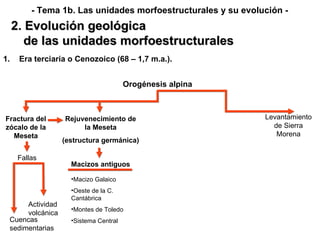 Rejuvenecimiento de la Meseta (estructura germánica) Era terciaria o Cenozoico (68 – 1,7 m.a.). Orogénesis alpina Fractura del zócalo de la Meseta Fallas Cuencas sedimentarias Actividad volcánica Levantamiento de Sierra Morena Macizos antiguos Macizo Galaico Oeste de la C. Cantábrica Montes de Toledo Sistema Central 2. Evolución geológica de las unidades morfoestructurales - Tema 1b. Las unidades morfoestructurales y su evolución - 