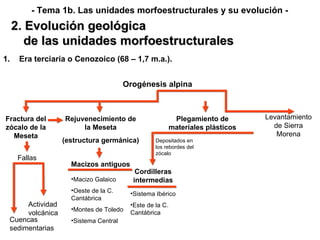 Rejuvenecimiento de la Meseta (estructura germánica) Sistema Ibérico Este de la C. Cantábrica Era terciaria o Cenozoico (68 – 1,7 m.a.). Orogénesis alpina Fractura del zócalo de la Meseta Fallas Cuencas sedimentarias Actividad volcánica Levantamiento de Sierra Morena Macizos antiguos Macizo Galaico Oeste de la C. Cantábrica Montes de Toledo Sistema Central Plegamiento de materiales plásticos Depositados en los rebordes del zócalo Cordilleras intermedias 2. Evolución geológica de las unidades morfoestructurales - Tema 1b. Las unidades morfoestructurales y su evolución - 