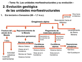 Rejuvenecimiento de la Meseta (estructura germánica) red fluvial Del Ebro Del Guadalquivir Sistema Ibérico Este de la C. Cantábrica Sistema Ibérico Este de la C. Cantábrica Depositados en las fosas marinas Era terciaria o Cenozoico (68 – 1,7 m.a.). Orogénesis alpina Fractura del zócalo de la Meseta Fallas Cuencas sedimentarias Actividad volcánica Levantamiento de Sierra Morena Macizos antiguos Macizo Galaico Oeste de la C. Cantábrica Montes de Toledo Sistema Central Plegamiento de materiales plásticos Depositados en los rebordes del zócalo Cordilleras intermedias Cordilleras alpinas Depresiones prealpinas Basculación hacia el Atlántico Ríos hacia el Atlántico 2. Evolución geológica de las unidades morfoestructurales - Tema 1b. Las unidades morfoestructurales y su evolución - 