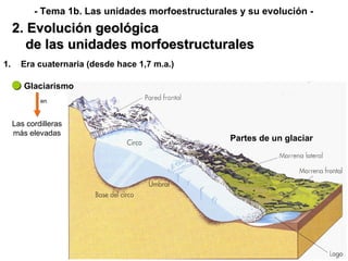 Glaciarismo en Las cordilleras más elevadas Era cuaternaria (desde hace 1,7 m.a.) 2. Evolución geológica de las unidades morfoestructurales - Tema 1b. Las unidades morfoestructurales y su evolución - Partes de un glaciar 