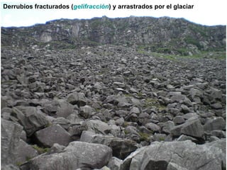 Derrubios fracturados ( gelifracción ) y arrastrados por el glaciar 