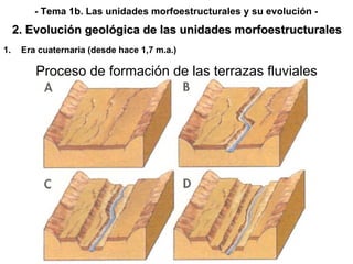 Era cuaternaria (desde hace 1,7 m.a.) 2. Evolución geológica de las unidades morfoestructurales - Tema 1b. Las unidades morfoestructurales y su evolución - Proceso de formación de las terrazas fluviales 