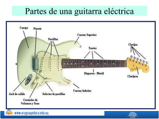 Partes de una guitarra eléctrica
 