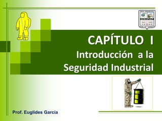 CAPÍTULO I
Introducción a la
Seguridad Industrial
Prof. Euglides García
 