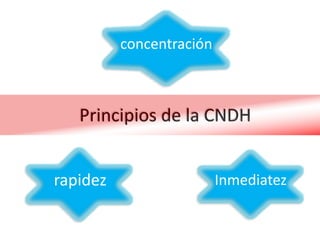concentración



   Principios de la CNDH


rapidez                   Inmediatez
 