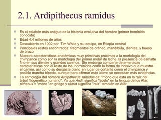 2.1. Ardipithecus ramidus Es el eslabón más antiguo de la historia evolutiva del hombre (primer homínido conocido) Edad 4,4 millones de años  Descubierto en 1992 por  Tim White y su equipo, en Etiopía central  Principales restos encontrados: fragmentos de cráneo, mandíbula, dientes, y hueso de brazo  Muestra características anatómicas muy primitivas próximas a la morfología del chimpancé como son la morfología del primer molar de leche, la presencia de esmalte fino en sus dientes y grandes caninos. Sin embargo comparte determinadas características con el resto de los  homínidos como la forma de incisivo que muestra el canino, así como su desgaste plano en lugar de cortante como el chimpancé y posible marcha bípeda, aunque para afirmar esto último se necesitan más evidencias.  La etimología del nombre  Ardipithecus ramidus  es: "mono que está en la raíz del árbol filogenético humano". Ya que  Ardi , significa "suelo" en la lengua de los Afar,  pithecus  = "mono "  en griego y  ramid  significa "raíz" también en Afar. 
