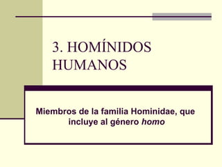 3. HOMÍNIDOS HUMANOS Miembros de la familia Hominidae, que  incluye al género  homo 