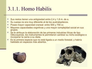 3.1.1. Homo Habilis Sus restos tienen una antigüedad entre 2,4 y 1,8 m. de a.  Su cuerpo no era muy diferente al de los australopitecos.  Posee mayor capacidad craneal: entre 500 y 750 cc Mayores capacidades cognitivas y una mayor complejidad social en sus grupos. Se le atribuye la elaboración de las primeras industrias líticas de tipo  Olduvayense, los instrumentos le permitieron cambiar su nicho ecológico e incorporar la carne a su dieta. Es la primera especie que no está ligada a un medio forestal, y habría habitado en espacios más abiertos.  