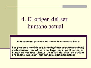 4. El origen del ser humano actual El hombre no procede del mono de una forma lineal Los primeros homínidos ( Australopitecinos  y  Homo habilis ) evolucionaron  en  África  a  lo  largo  de  unos  3  m.  de  a. Luego, en  escasos  cientos  de  miles  de  años, se produjo una rápida evolución  que condujo al hombre actual. 